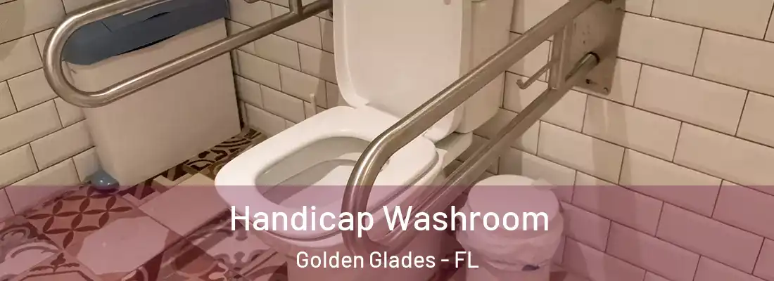 Handicap Washroom Golden Glades - FL
