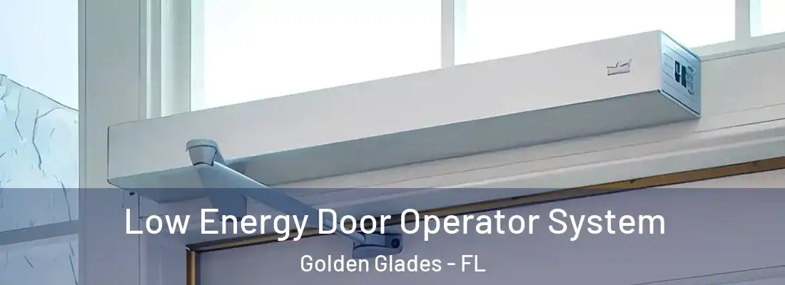  Low Energy Door Operator System Golden Glades - FL